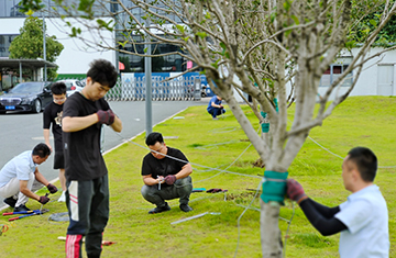 防風(fēng)抗臺(tái)